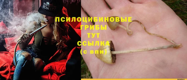 кокс Армянск