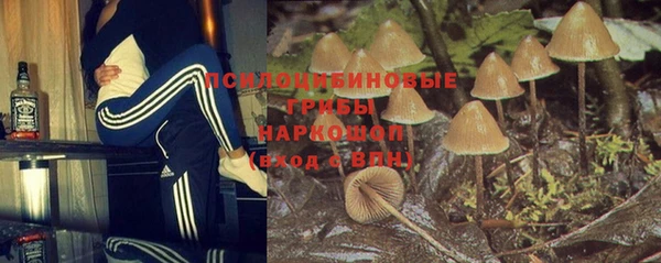 стафф Арсеньев