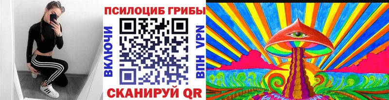 Купить  Тотьма  Галлюциногенные грибы GOLDEN TEACHER 